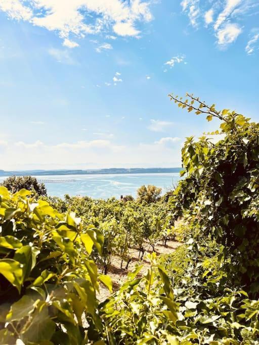 Hauterive  Charmant Appartement De Vacances Alta Ripa מראה חיצוני תמונה